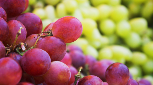 "Old World" vs. "New World Wines": An Archaic Divide?