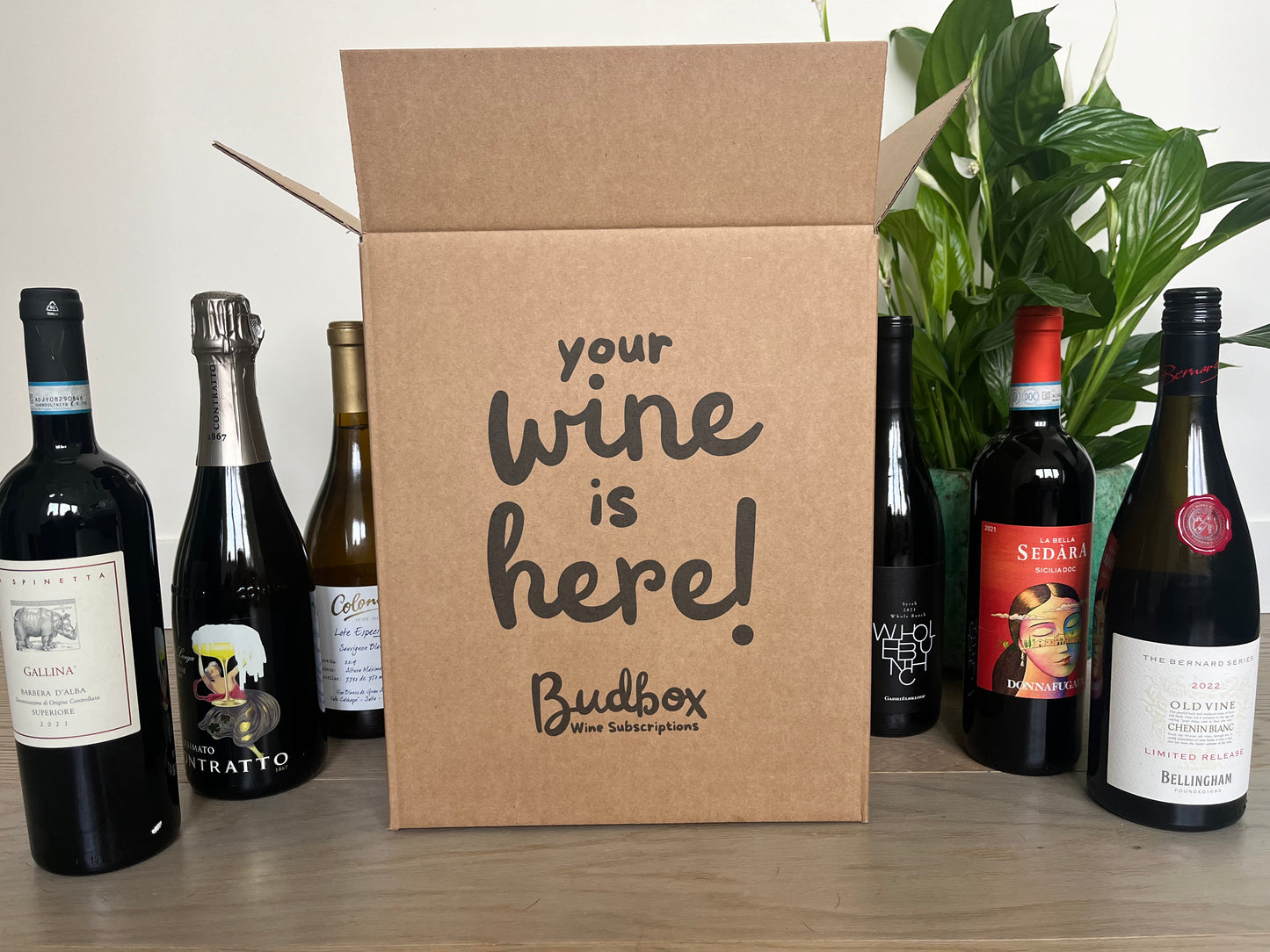 White Budbox